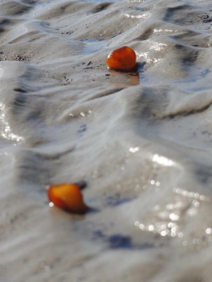 Dietrichs Wentzelhof Sankt Peter-Ording Kültér fotó
